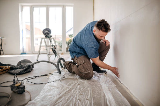 Best Water-Damaged Drywall Repair  in Windsor, CO